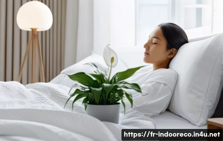 온도와 습도의 관계 - **A Serene Bedroom with Balanced Humidity:** A comfortable bedroom scene where a person, dressed in ...