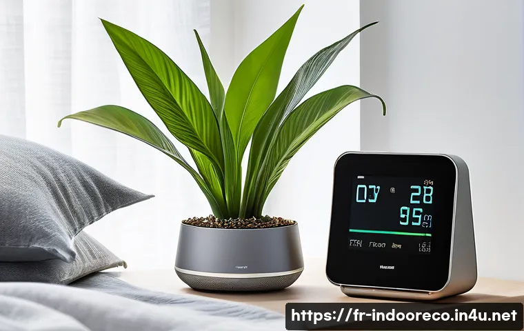 실내 공기질과 건강 관련 이미지 2