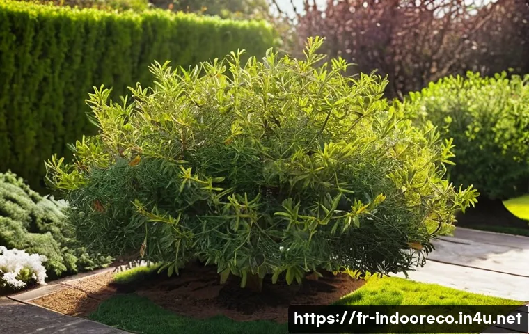 겨울철 식물 관리 관련 이미지 1