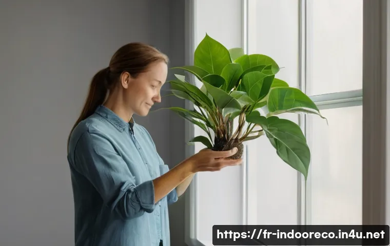 겨울철 식물 관리 관련 이미지 2