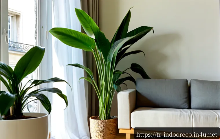 실내 공기 청정 식물 - Photorealistic bright Parisian apartment living room with a large areca palm, snake plant, peace lil...